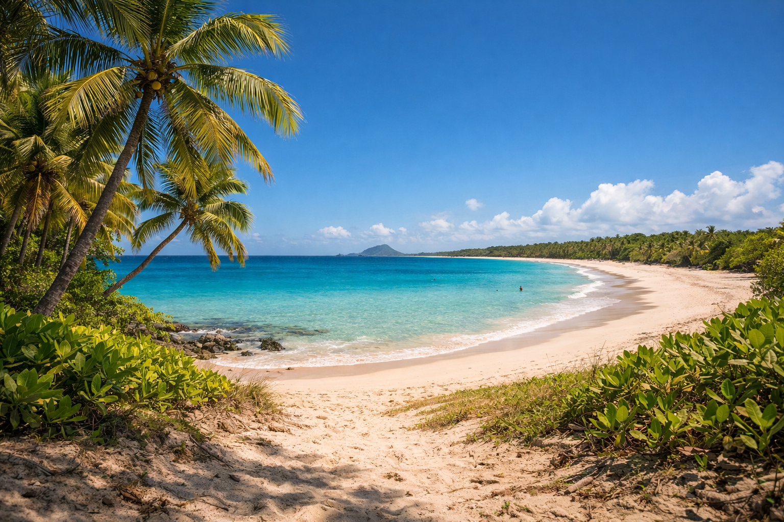 Plage des Salines Martinique : comment y aller