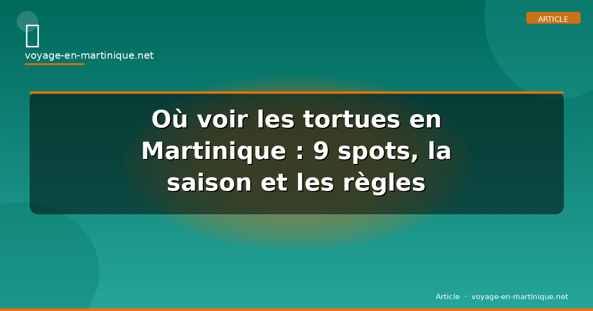 Où voir les tortues en Martinique : 9 spots, la saison et les règles